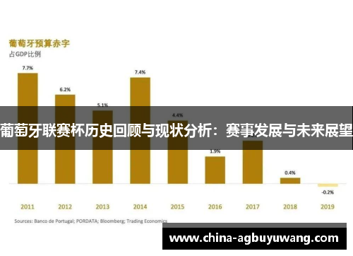 葡萄牙联赛杯历史回顾与现状分析：赛事发展与未来展望