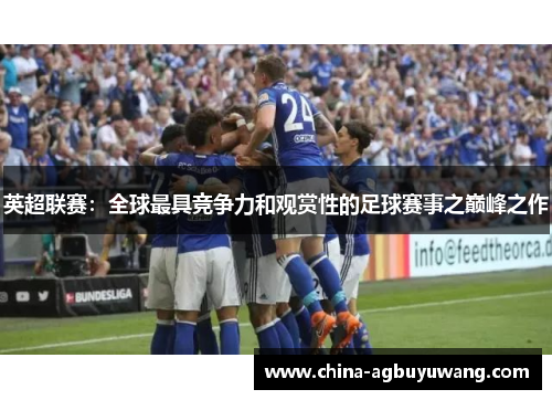 英超联赛：全球最具竞争力和观赏性的足球赛事之巅峰之作