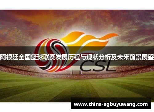 阿根廷全国篮球联赛发展历程与现状分析及未来前景展望